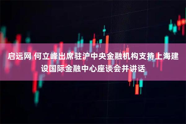 启远网 何立峰出席驻沪中央金融机构支持上海建设国际金融中心座谈会并讲话