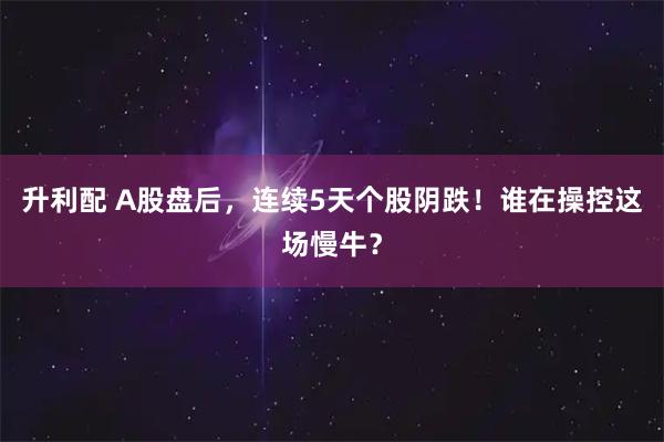 升利配 A股盘后，连续5天个股阴跌！谁在操控这场慢牛？