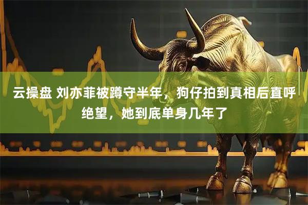云操盘 刘亦菲被蹲守半年，狗仔拍到真相后直呼绝望，她到底单身几年了