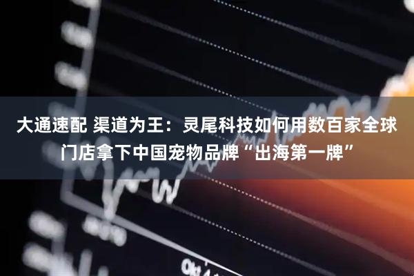 大通速配 渠道为王：灵尾科技如何用数百家全球门店拿下中国宠物品牌“出海第一牌”