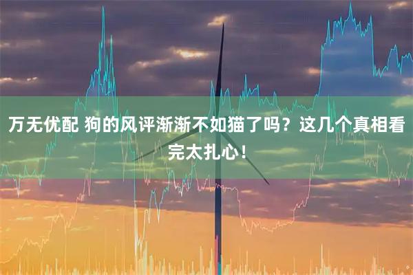 万无优配 狗的风评渐渐不如猫了吗？这几个真相看完太扎心！